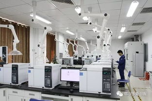 一季度鄂爾多斯經(jīng)濟(jì)運(yùn)行總體平穩(wěn)向好，計(jì)算機(jī)系統(tǒng)集成產(chǎn)業(yè)展現(xiàn)活力